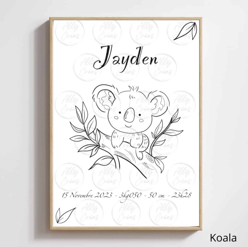 koala